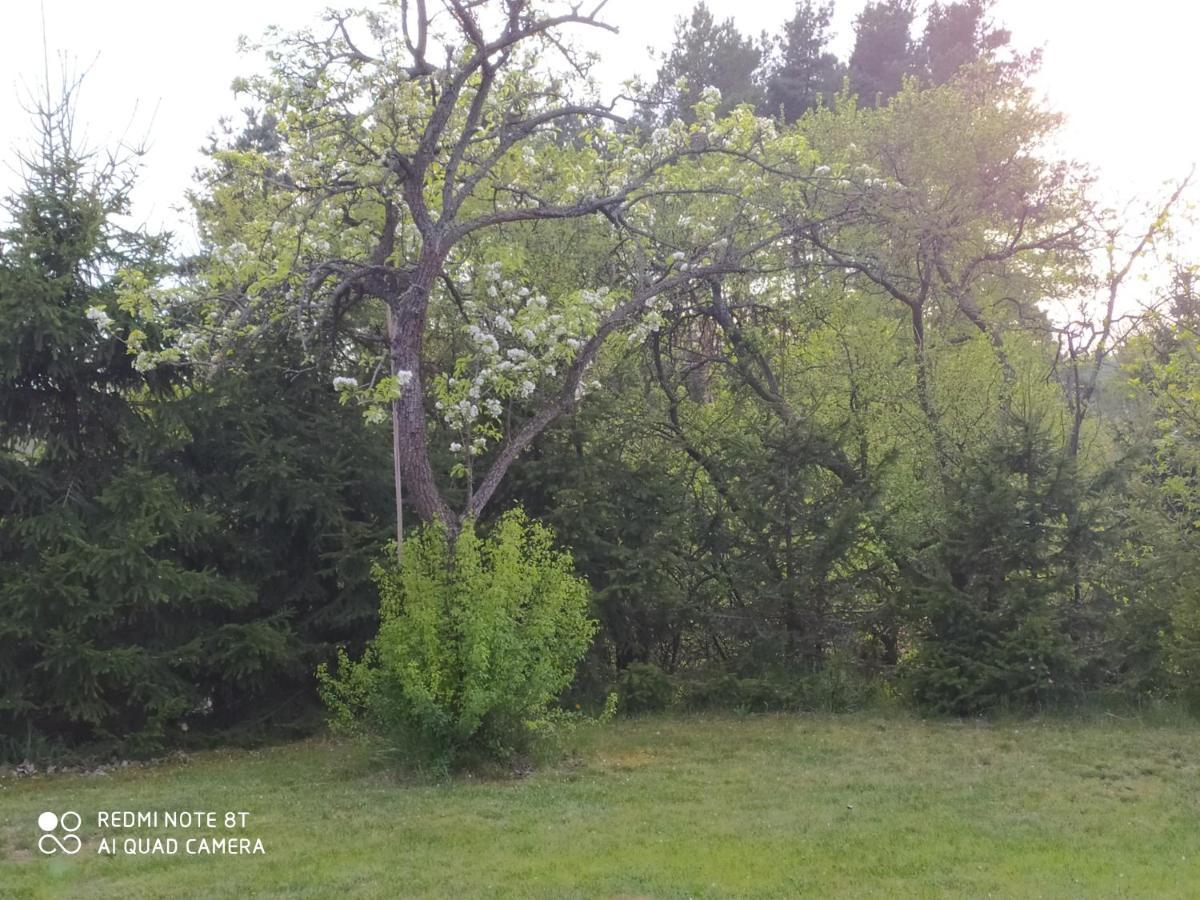 Dolistowka Apartamenty, Pole Namiotowe, Balia Z Jacuzzi, Ogrod Warzywny Dla Gosci, Plac Zabaw Dla Dzieci Гонёдз Экстерьер фото