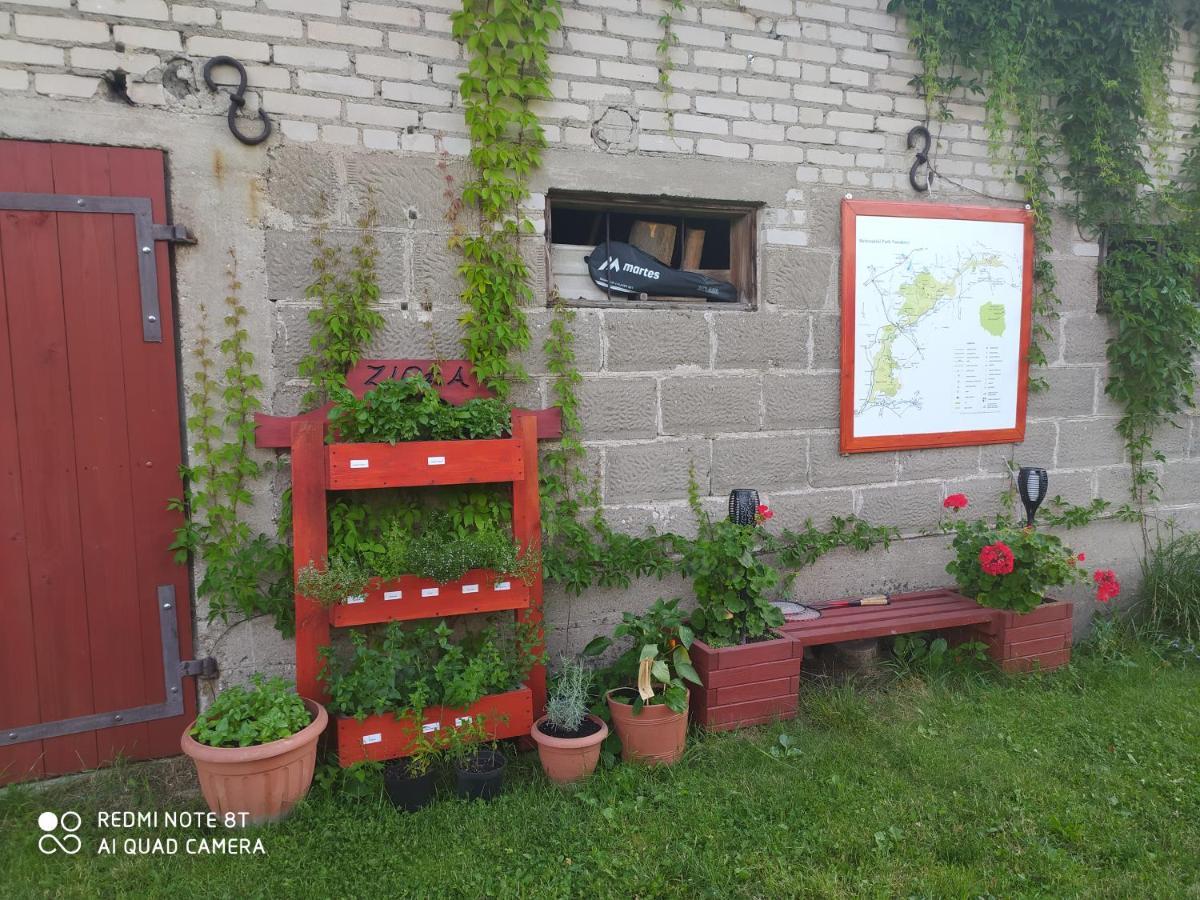 Dolistowka Apartamenty, Pole Namiotowe, Balia Z Jacuzzi, Ogrod Warzywny Dla Gosci, Plac Zabaw Dla Dzieci Гонёдз Экстерьер фото