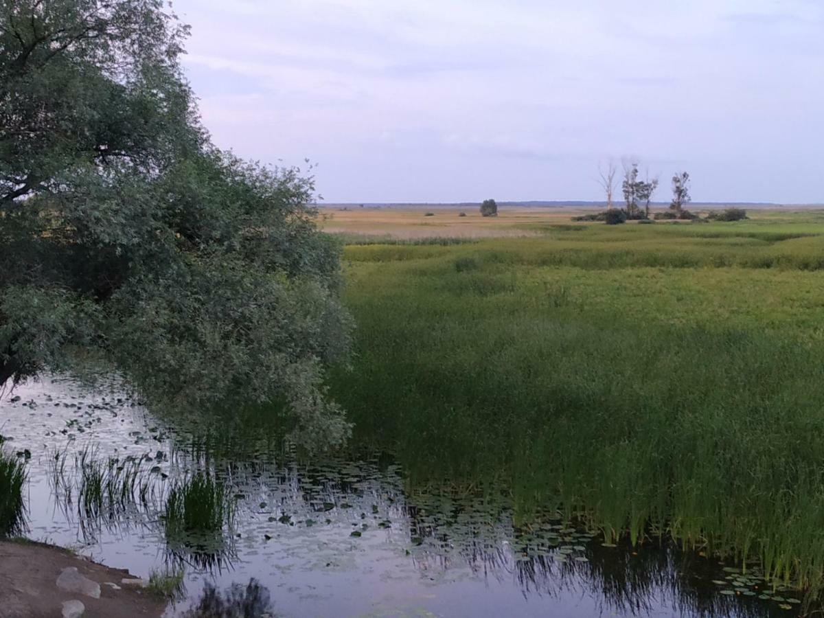 Dolistowka Apartamenty, Pole Namiotowe, Balia Z Jacuzzi, Ogrod Warzywny Dla Gosci, Plac Zabaw Dla Dzieci Гонёдз Экстерьер фото